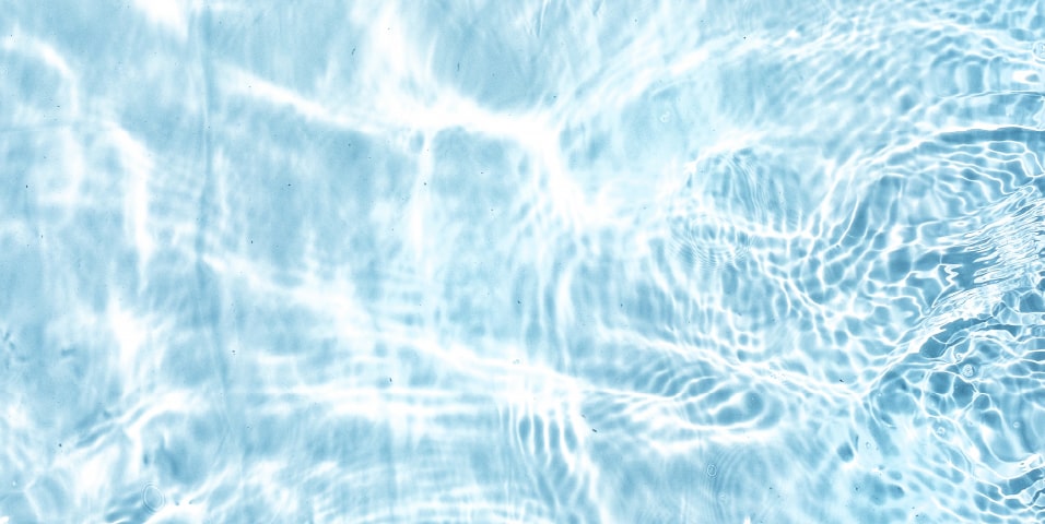 活用可能分野｜洗浄